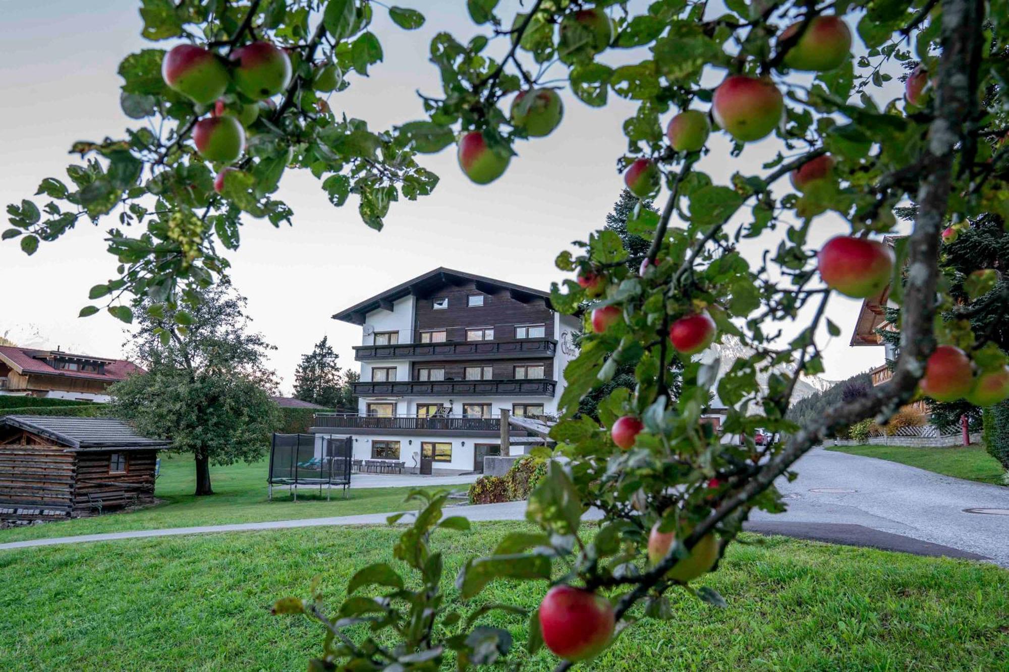 Ferienwohnungen Monja Und Dietmar Thoeni Arzl im Pitztal Dış mekan fotoğraf